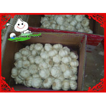 Белый чеснок в упаковке 10 кг картон / Белый чеснок из Шаньдун / Белый чеснок на продажу
